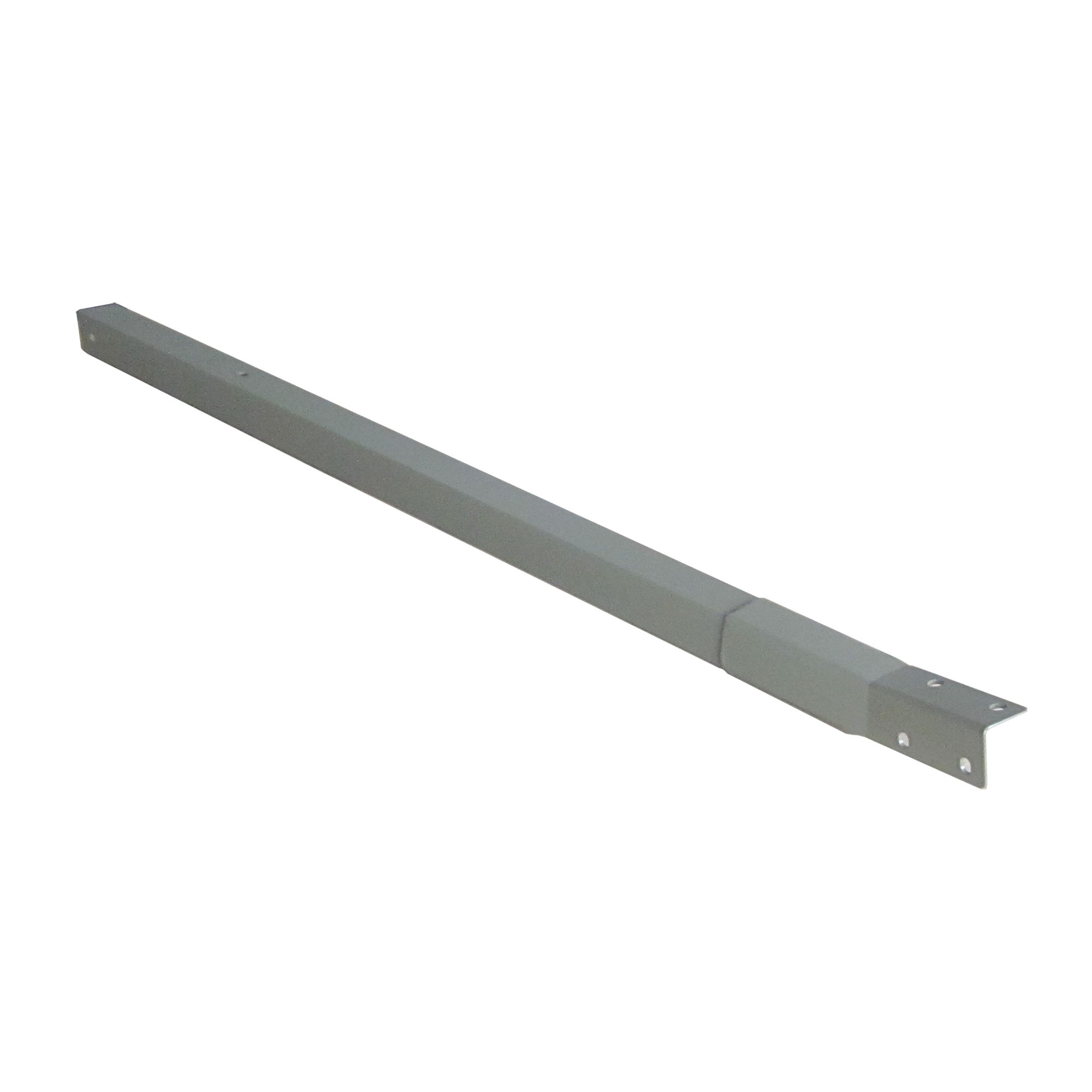 Rear Left Leg / Front Right Leg